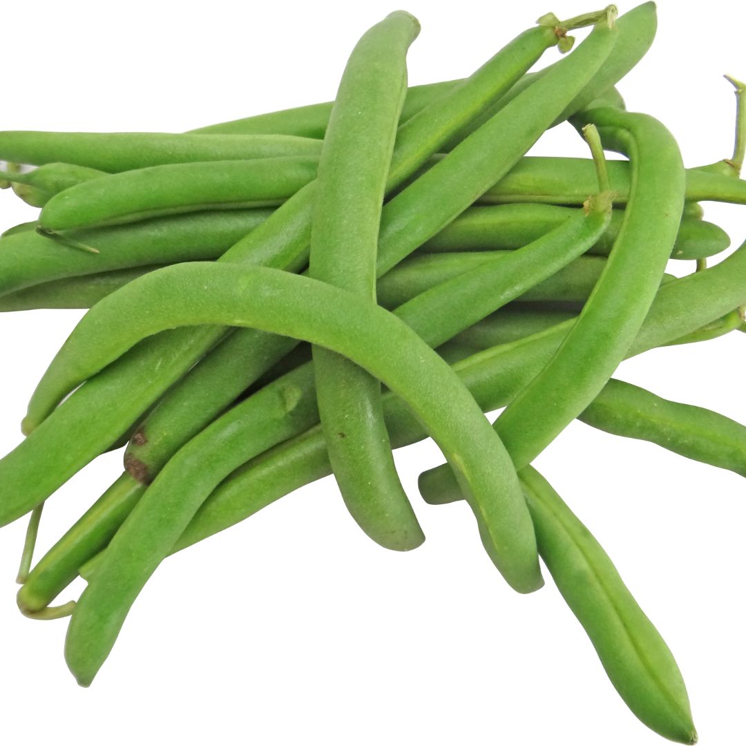 Bean