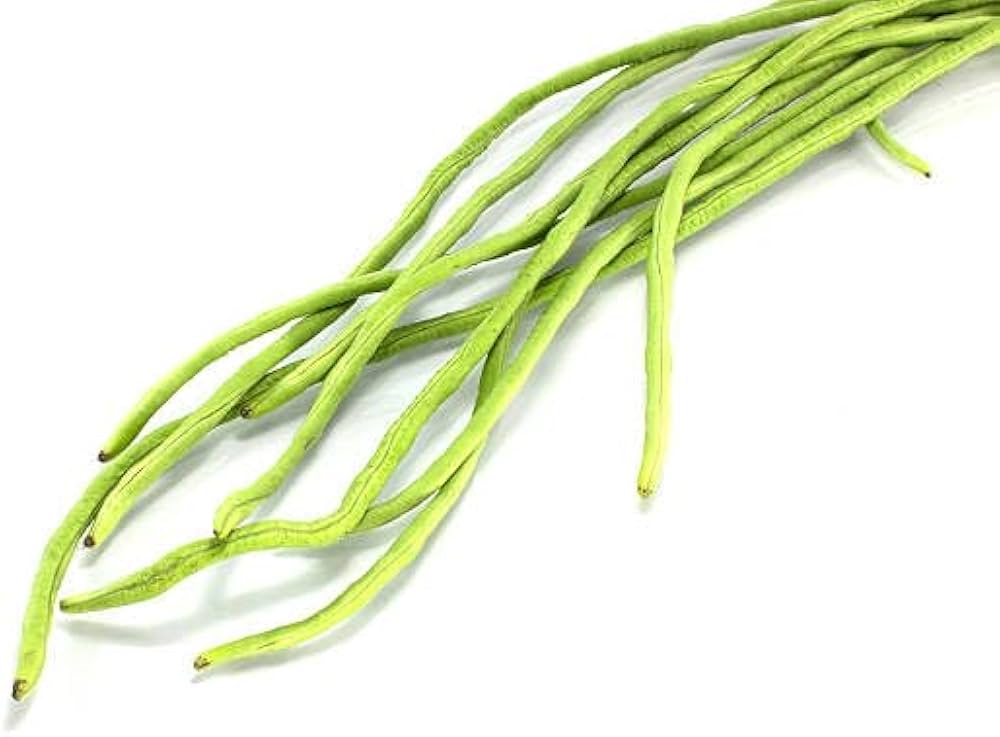 Cowpea