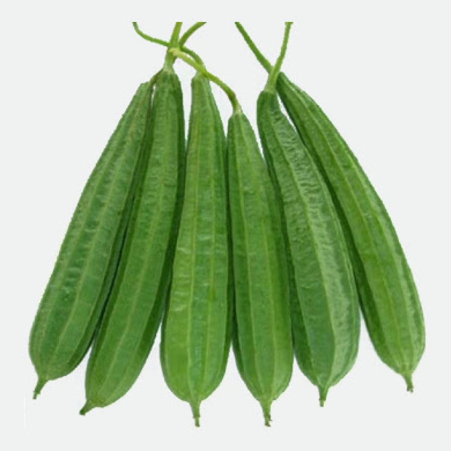 ridge gourd