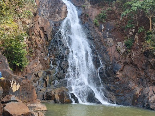 similipala national park